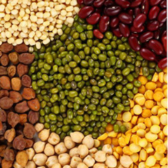 Cold Storage for Pulses & Seeds