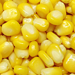 Cold Storage for Sweet Corn